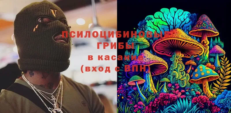 Псилоцибиновые грибы Psilocybe  blacksprut сайт  Весьегонск 